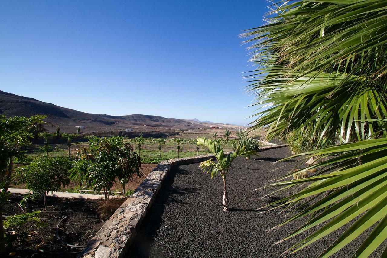 Finca Arbequina Pajara  Екстер'єр фото