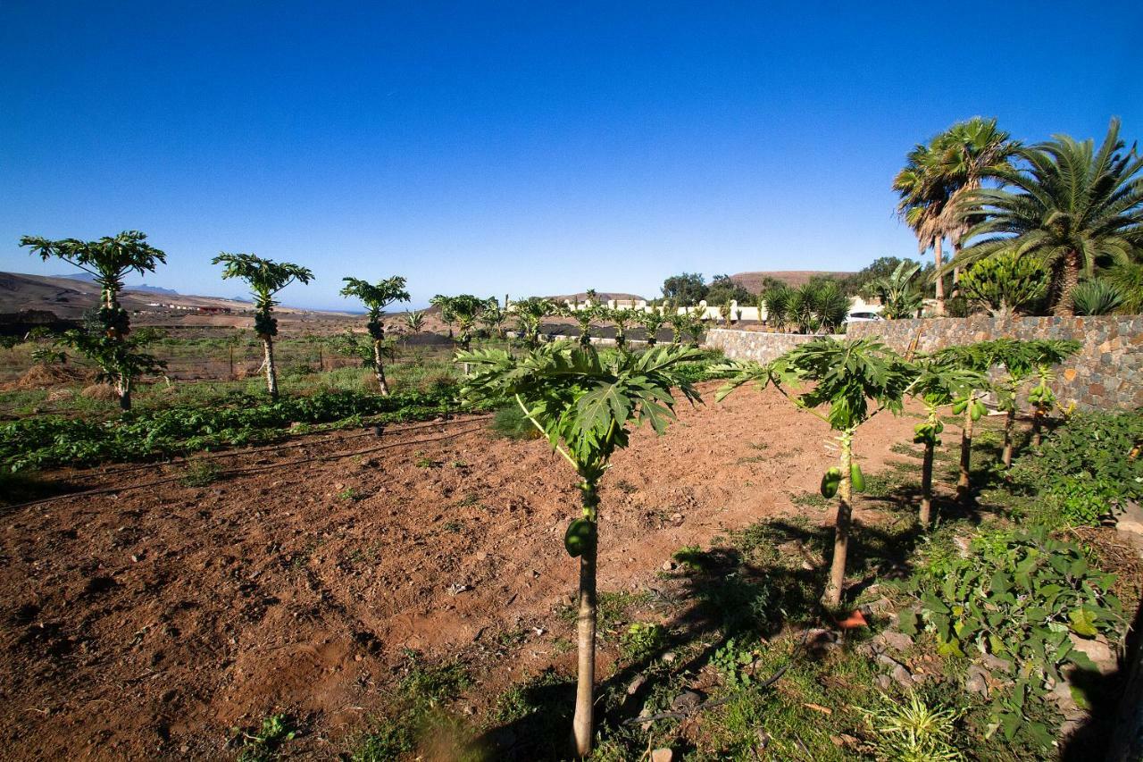 Finca Arbequina Pajara  Екстер'єр фото